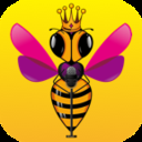 蜂窝直播免费版