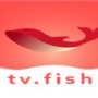 大鱼视频tv版