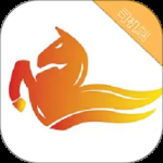 飞马出行司机端