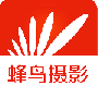 蜂鸟摄影