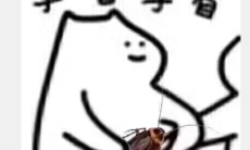 拿着拿着广东蟑螂梗的意思1