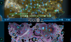 王国之泪树根全开技巧