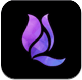 午夜兰花直播免费会员版