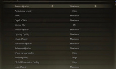 《艾尔登法环》PC图形设置界面曝光1