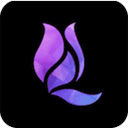 午夜兰花直播免费版