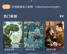和红茶影视同款的APP