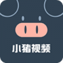小猪视频轻量版