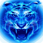 四虎影院最新版