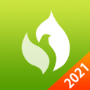 圆梦志愿免费版