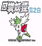 口袋妖怪雪之白6.0ex＋最新版