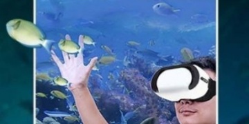 和五五影视相似的APP