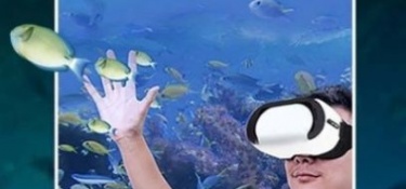 和五五影视相似的APP