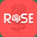 rose直播
