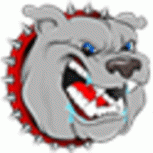 疯狗电影(在线观看)