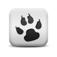 夜猫电影院入口版