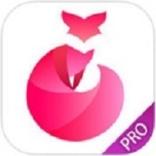 逍遥屋直播平台