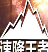 速降王者全解锁版