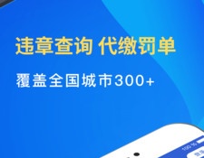 比较良心的查违章APP
