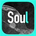 soul最高版