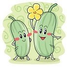 丝瓜短视频最新入口