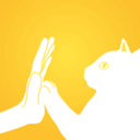 友猫（宠物猫社交）