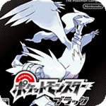 口袋妖怪黑nds版