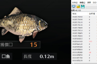 护身术道场怎么改鱼币