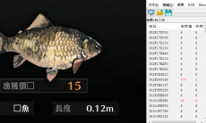 护身术道场怎么改鱼币0