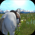 今天你骑马了吗