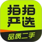 拍拍