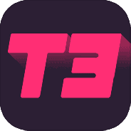 T3