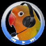 经典复读机2024版