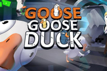 Goose Goose Duck鹅鸭杀雇佣杀手技能分享