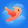 小鸟视频历史版
