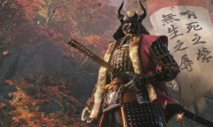 《只狼》年度版和普通版区别