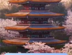 跟有料短视频一样的APP