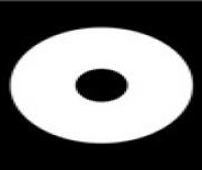 皮蛋(在线语音聊天)