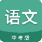 中考语文通