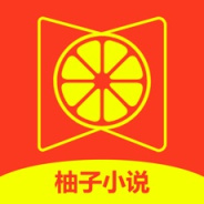 柚子小说免费换源版