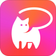 喵小姐直播视频