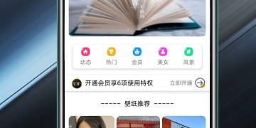 免费主题APP