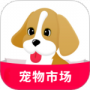 宠物市场