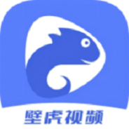 壁虎视频老版本