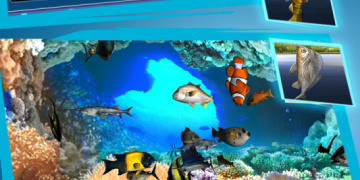 疯狂钓鱼超全版本手游