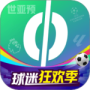 爱奇艺体育精简版
