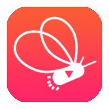 火萤直播免费版