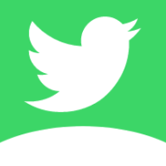 蜂鸟视频绿色版