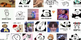 网络热门梗知识