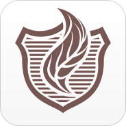 灰灰自动匹配版