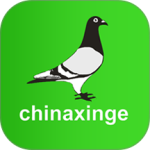 中国信鸽信息网2024版